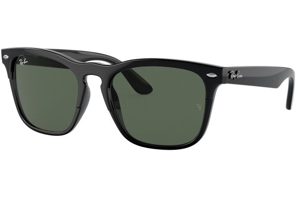 Ray-Ban Steve RB4487 662971