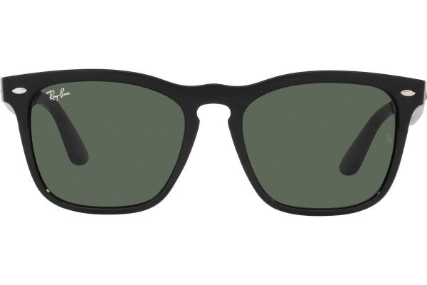 Ray-Ban Steve RB4487 662971