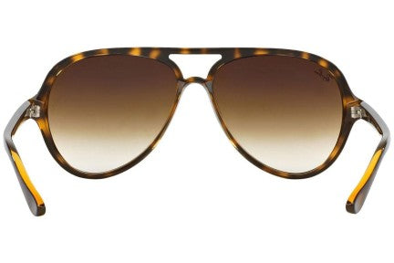 Ray-Ban Cats 5000 Classic RB4125 710/51