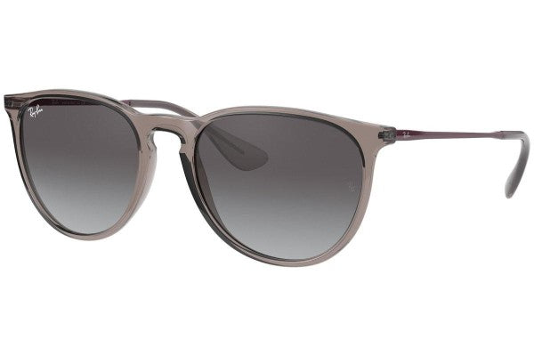 Ray-Ban Erika Classic RB4171 65138G