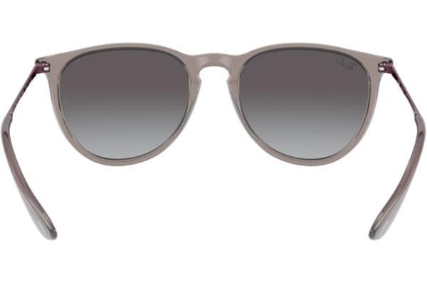 Ray-Ban Erika Classic RB4171 65138G