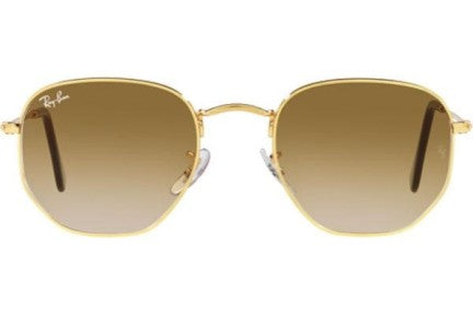 Ray-Ban Hexagonal RB3548 001/51