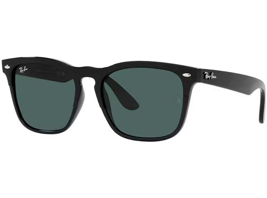 Ray-Ban Steve RB4487 6629R5